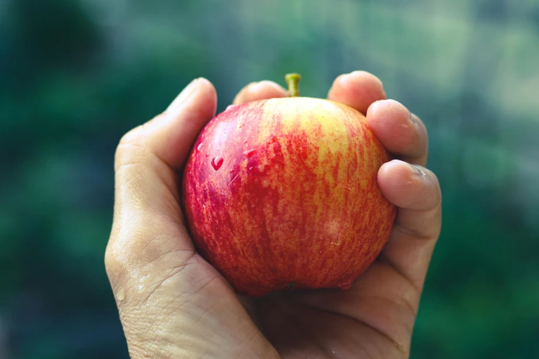 a person holding an apple in their hand, by Julia Pishtar, pexels, renaissance, 2 5 6 x 2 5 6 pixels, swollen muscles, large cornicione, made of glazed