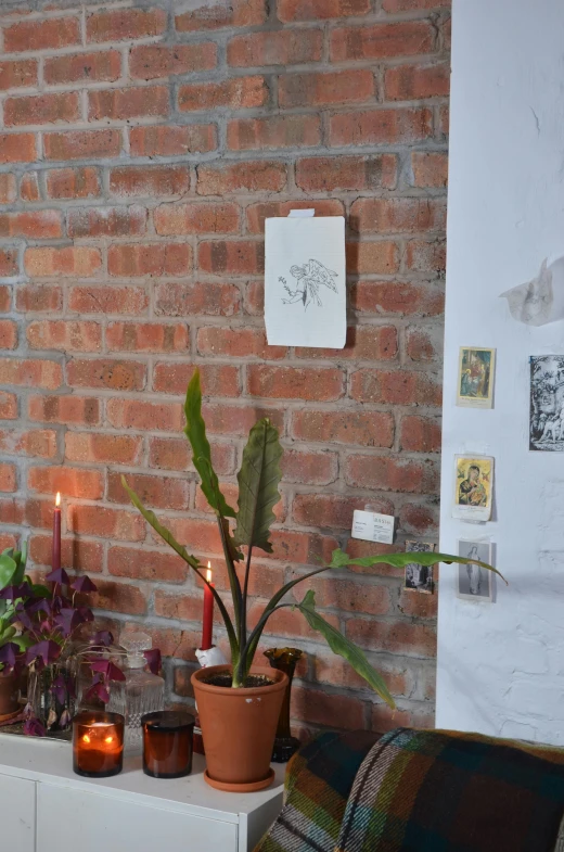 a living room filled with furniture and a brick wall, a picture, unsplash, temporary art, botanical herbarium paper, candlelit, studio 4°c, with a white background