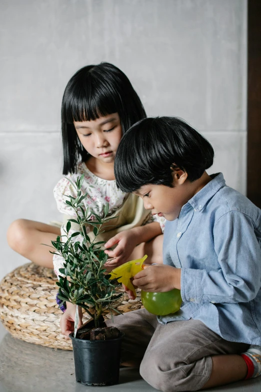 two children sitting on the floor next to a potted plant, by Basuki Abdullah, pexels contest winner, olive tree, carefully crafted, japanese collection product, thumbnail