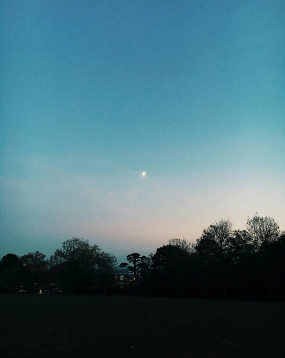 a person flying a kite on top of a lush green field, the moon is in the sky, trending on vsco, at a park, is at dawn and bluish