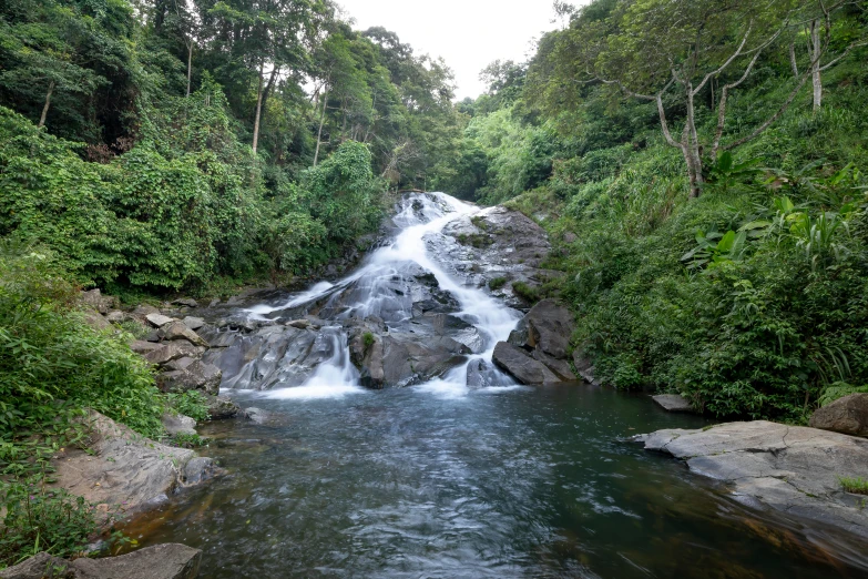 a waterfall in the middle of a lush green forest, by Alejandro Obregón, hurufiyya, next to a small river, malaysian, slide show, thumbnail