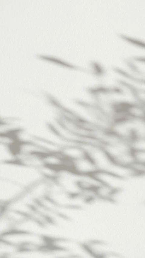 the shadow of a tree on a white wall, by Kuroda Seiki, figuration libre, blurred detail, titanium white, 2045, botanic foliage