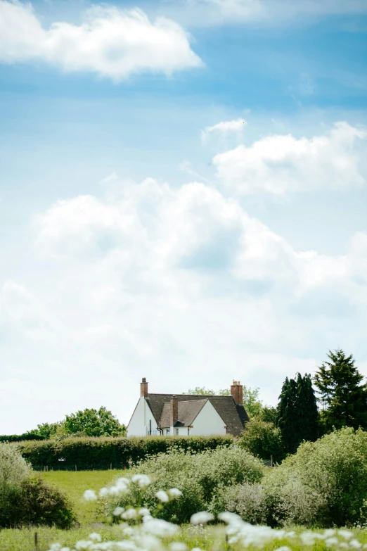 a white house sitting on top of a lush green field, a picture, by Peter Churcher, unsplash, arts and crafts movement, cumulus, farmhouse, overexposed photograph, with soft bushes