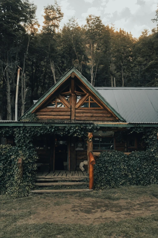 a man standing in front of a cabin in the woods, inspired by Elsa Bleda, pexels contest winner, vine covered, exterior view, front face, chile