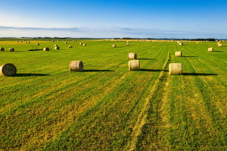 a field full of hay bales on a sunny day, inspired by David Ramsay Hay, shutterstock, land art, low horizon, various sizes, grain”, sweeping vista