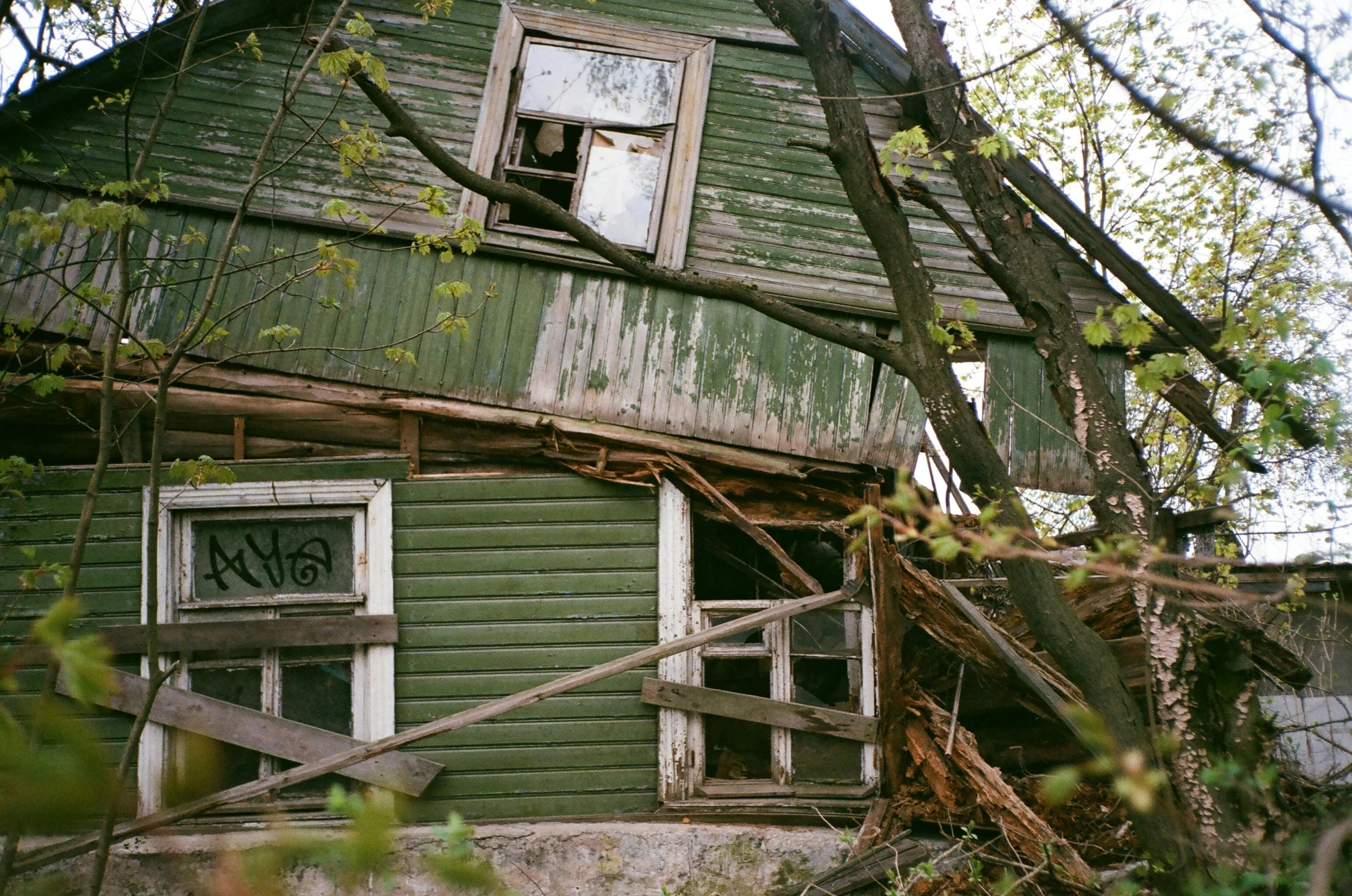 an old green house with a broken window, an album cover, unsplash, typical russian atmosphere, treehouse, earthquake destruction, 1999 photograph