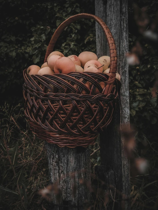 a basket full of apples sitting on top of a wooden pole, by Jan Tengnagel, unsplash contest winner, renaissance, ((portrait)), 💣 💥💣 💥, instagram story, brown