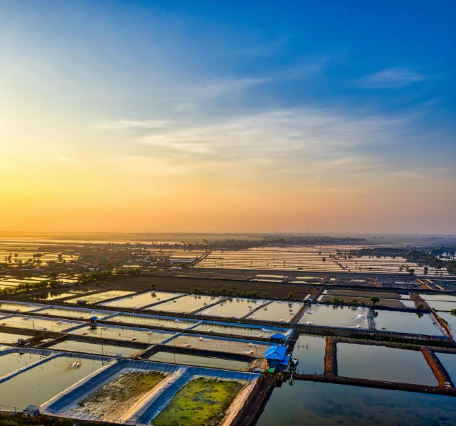 a large body of water filled with lots of water, a picture, happening, farming, golden hour in beijing, fan favorite, hydroponic farms