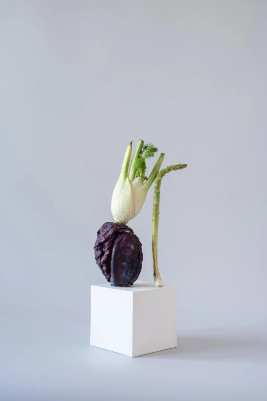 a purple flower sitting on top of a white box, a surrealist sculpture, inspired by Robert Mapplethorpe, new sculpture, grey vegetables, natural fragile pose, salad, large tall