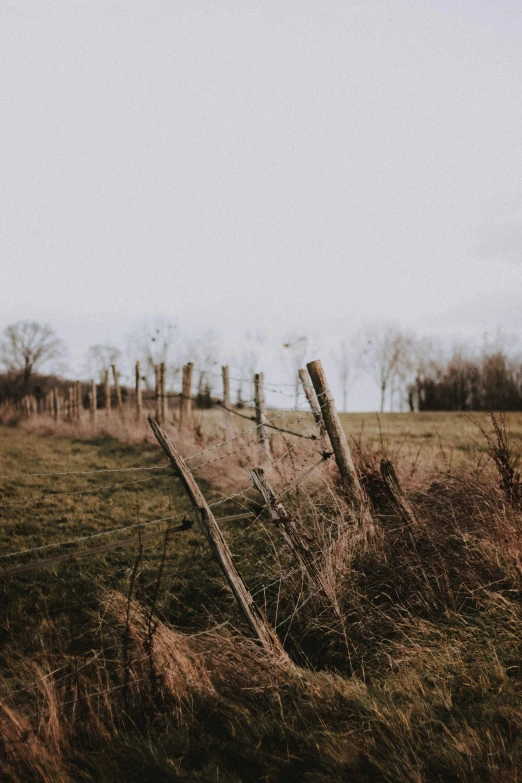 a fence in the middle of a field, unsplash, land art, instagram picture, college, cinematic style photograph, brown