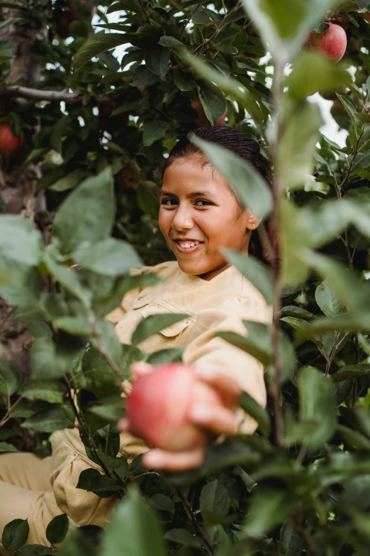 a young girl picking an apple from a tree, by Jessie Algie, unsplash, renaissance, peru, 2 5 6 x 2 5 6 pixels, young himalayan woman, avatar image