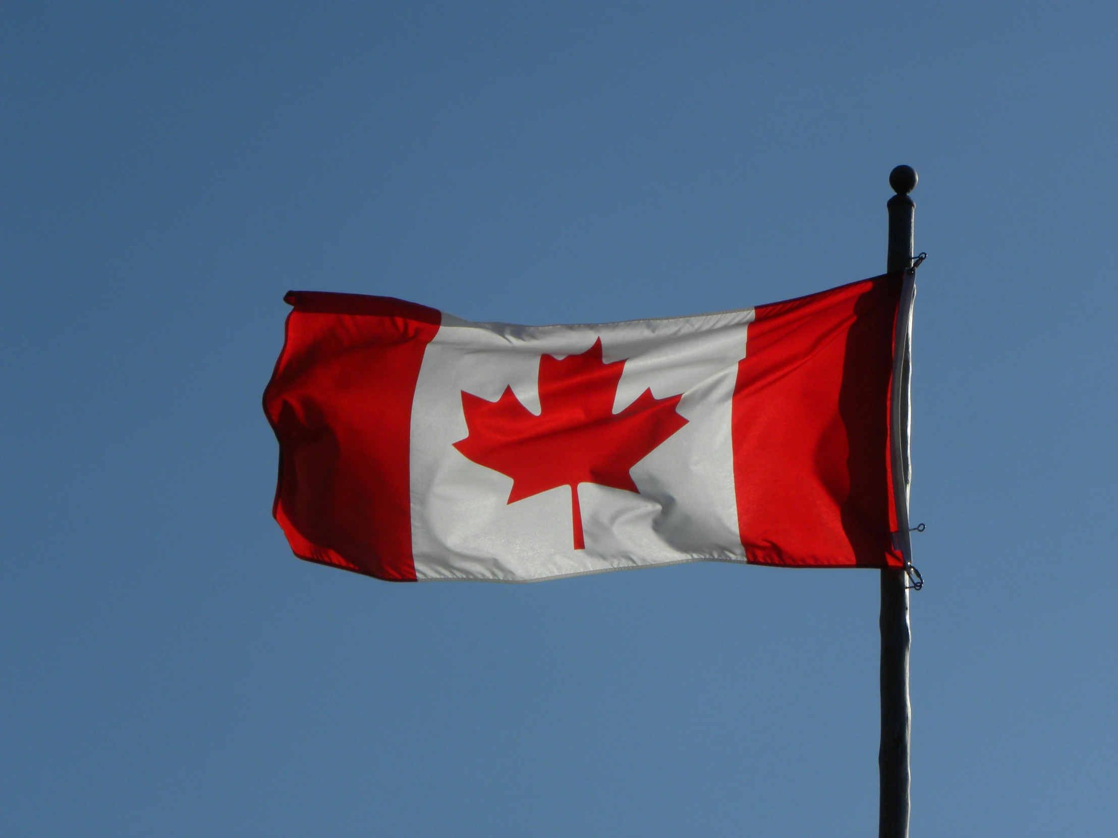 a canadian flag flying high in the sky, a portrait, pexels, hurufiyya, 15081959 21121991 01012000 4k, ignant, cantered, profile pic