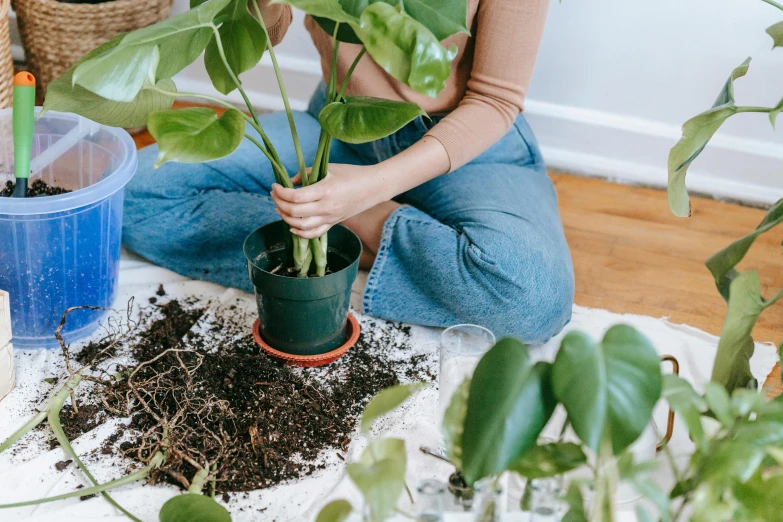 a woman sitting on the floor holding a potted plant, by Nicolette Macnamara, pexels contest winner, lush green, tending on pinterest, covering the ground, detailed product image