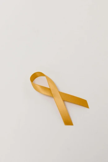 a yellow ribbon on a white background, a picture, by Nina Hamnett, agent orange, 2019 trending photo, light tan, dark. no text