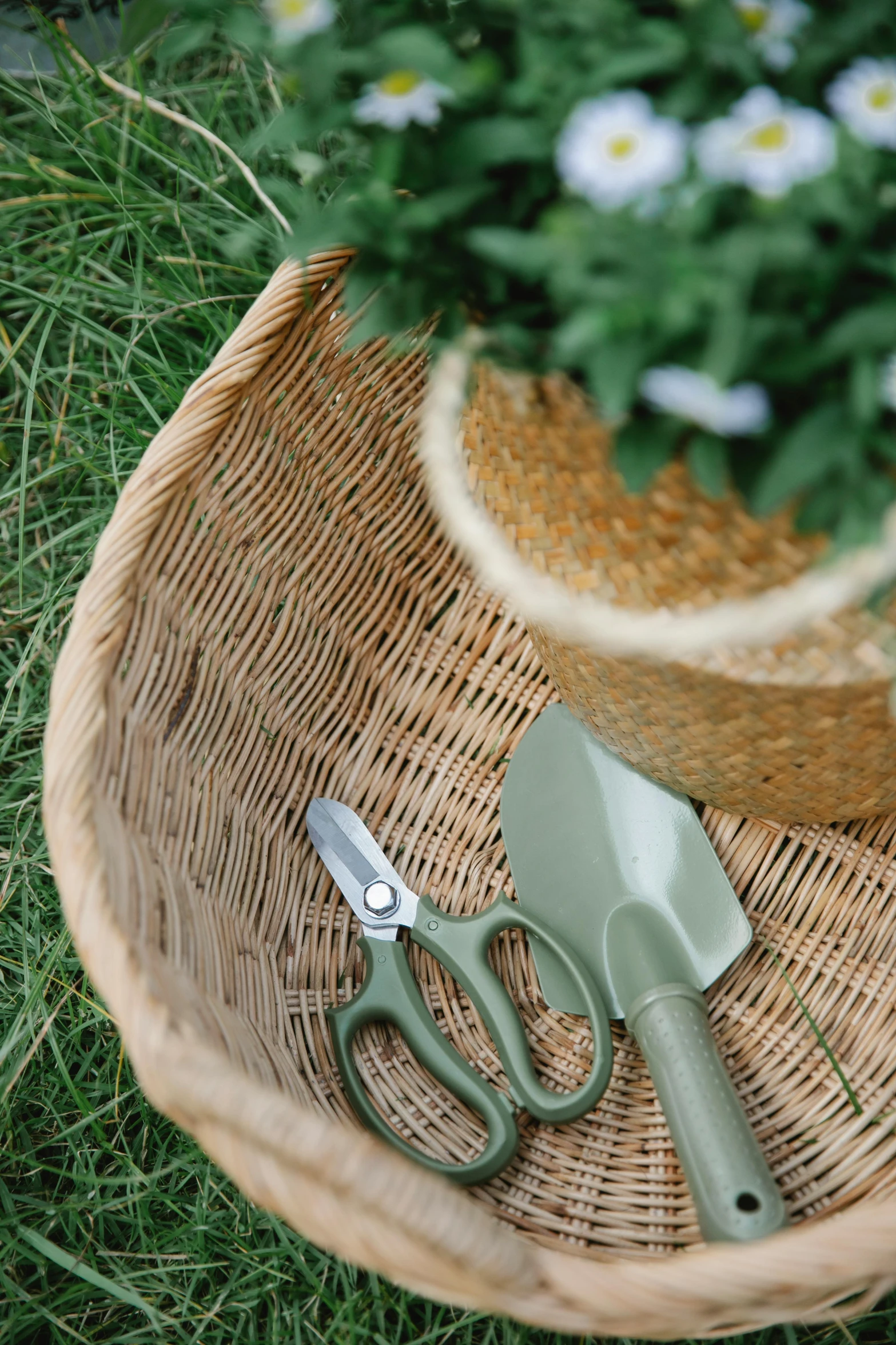 a basket with a pair of scissors and a potted plant, by Thomas Tudor, unsplash, laying under a tree on a farm, detail shot, lawn, sage green