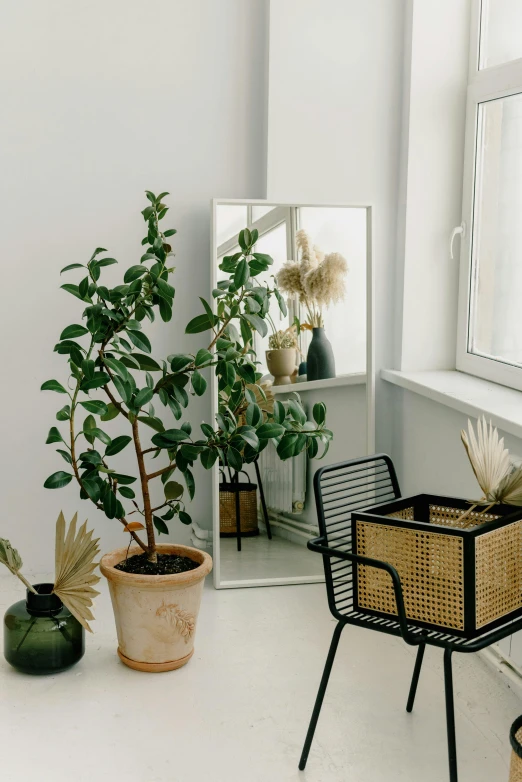 a chair sitting in front of a window next to a potted plant, inspired by Constantin Hansen, pexels contest winner, modernism, with a mirror, with fruit trees, clean and organized, studio photo