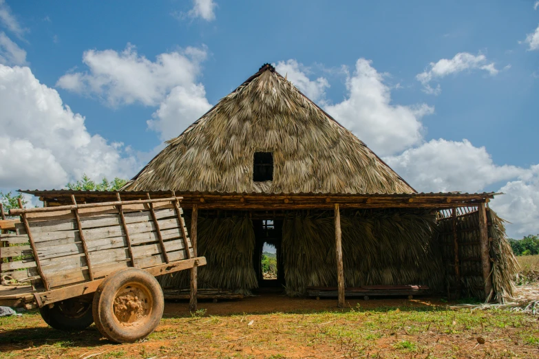 a truck parked in front of a hut with a thatched roof, pexels contest winner, renaissance, cuban setting, profile image, thumbnail, flattened