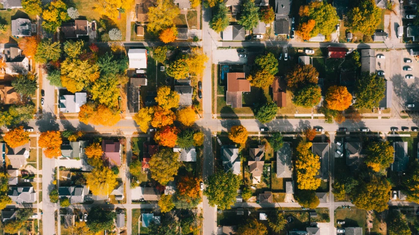 an aerial view of a neighborhood in the fall, pexels, aerial iridecent veins, portrait shot, old american midwest, low-angle shot