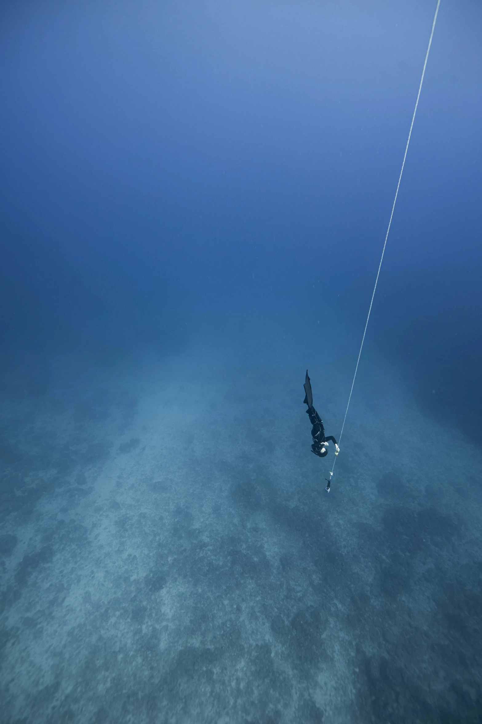 a person flying a kite in the middle of the ocean, swimming deep underwater, hanging cables, daniel richter, dark blue