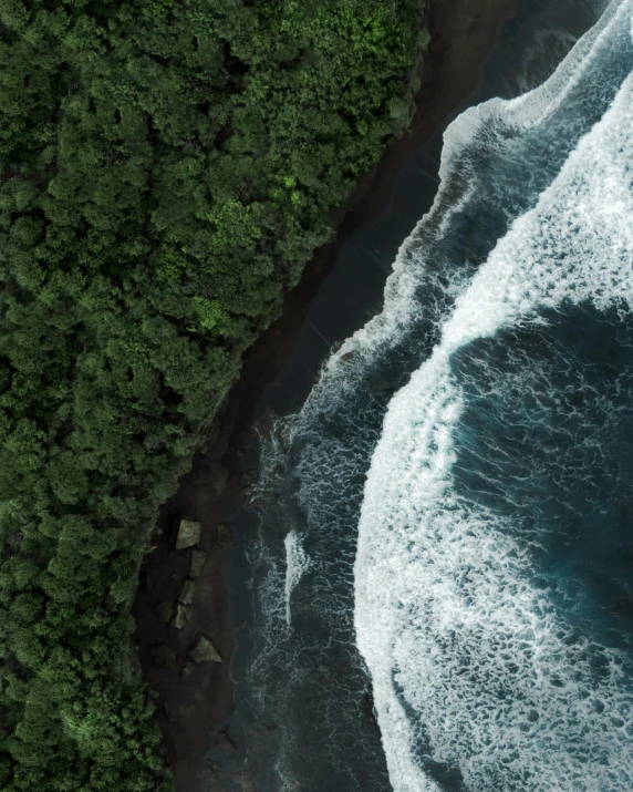 a large body of water next to a forest, an album cover, pexels contest winner, sumatraism, ocean wave, bird\'s eye view, 8k detail post processing, black sand