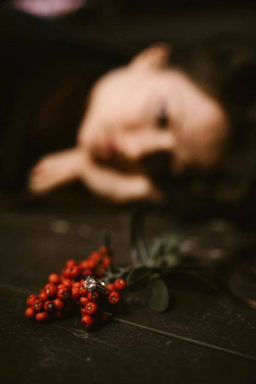 a doll laying on the floor next to a bunch of berries, inspired by Elsa Bleda, pexels contest winner, art photography, photo of a hand jewellery model, red flower, cinematic headshot portrait, 15081959 21121991 01012000 4k