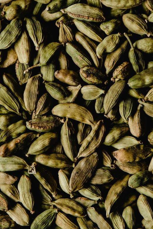 a pile of green cardamoa seeds, renaissance, thumbnail, in the center of the image, ultrawide image, highly upvoted