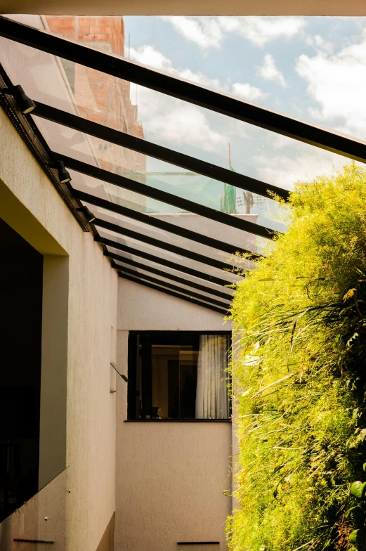 a man riding a skateboard up the side of a building, an album cover, unsplash, light and space, glass greenhouse, roof with vegetation, 3 / 4 view from back, residential