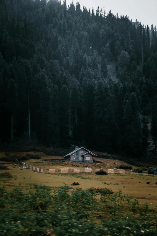 a house sitting on top of a lush green field, a picture, unsplash contest winner, gloomy forest, hut, dark pine trees, low quality photo
