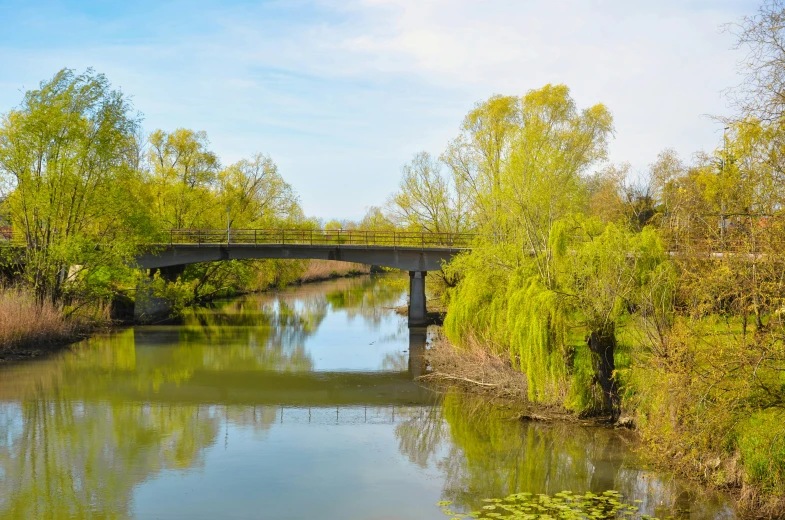 a bridge over a river surrounded by trees, a picture, by Jan Rustem, visual art, willow trees, a photo of a lake on a sunny day, estefania villegas burgos, nature photography 4k