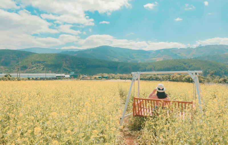 a person sitting on a bench in a field, by Aguri Uchida, pexels contest winner, vast lush valley flowers, patiphan sottiwilaiphong, strawberry fields forever, 🚿🗝📝