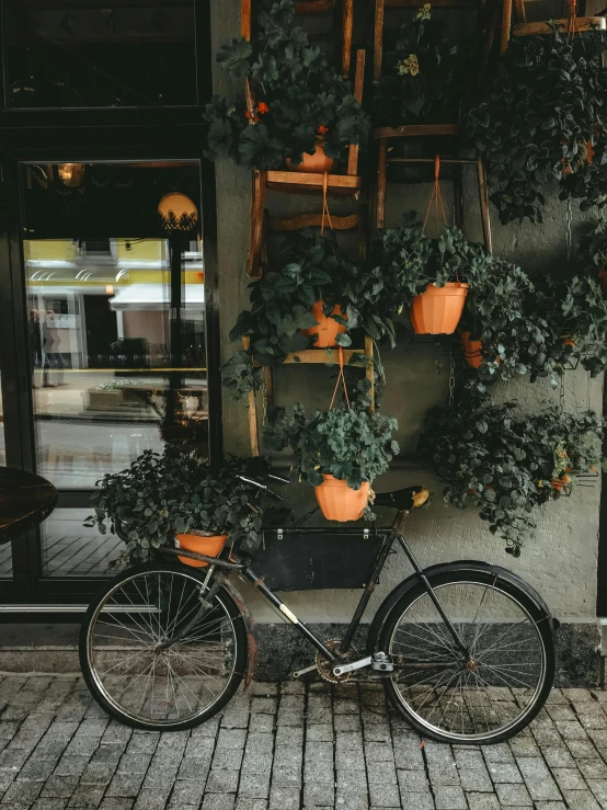 a bicycle parked in front of a building with potted plants, green and black colors, 2019 trending photo, restaurant exterior photography, 🚿🗝📝