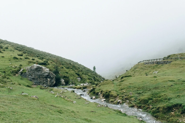 a herd of sheep standing on top of a lush green hillside, by Muggur, pexels contest winner, les nabis, foggy water, small flowing stream from wall, overcast gray skies, river running past the cottage