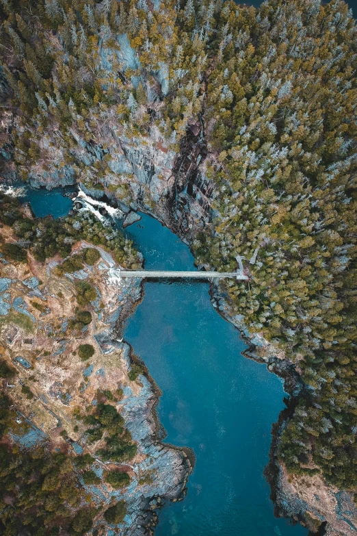 an aerial view of a river surrounded by trees, by Jacob Toorenvliet, unsplash contest winner, bridge over the water, british columbia, blue water, swinging on a vine over a chasm