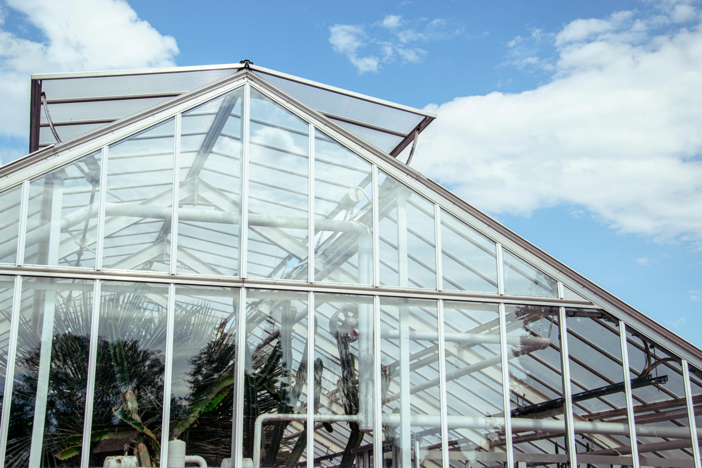 a large glass greenhouse filled with lots of plants, unsplash, art nouveau, clear blue skies, low angle photograph, grey, wings made of glass