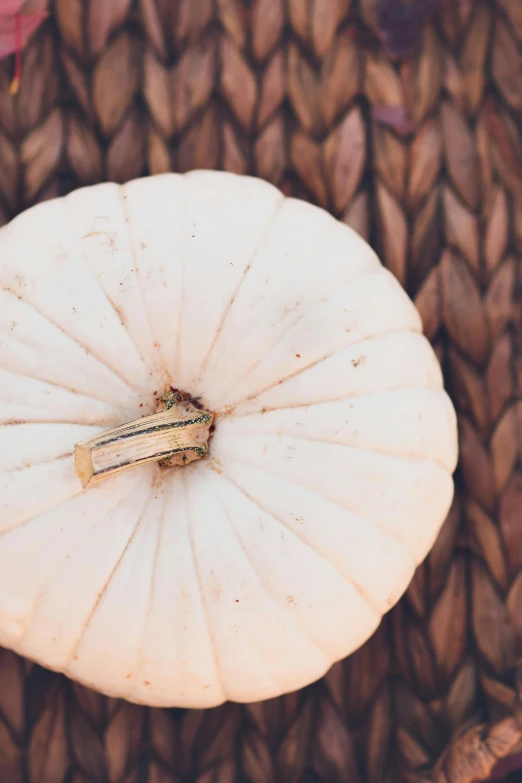 a white pumpkin sitting on top of a woven basket, trending on unsplash, square, vsco film grain, 15081959 21121991 01012000 4k, complex background