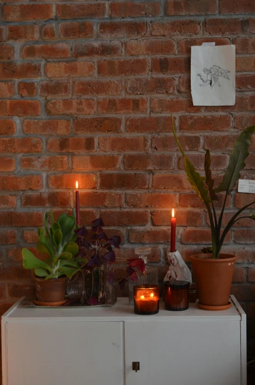 a white cabinet sitting next to a brick wall, dark lit candles, plants and jungle, profile image, autumnal