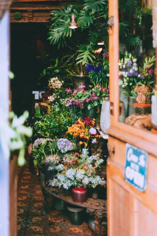 a room filled with lots of flowers and plants, by Niko Henrichon, trending on unsplash, shop front, al fresco, carrying flowers, cosy enchanted scene