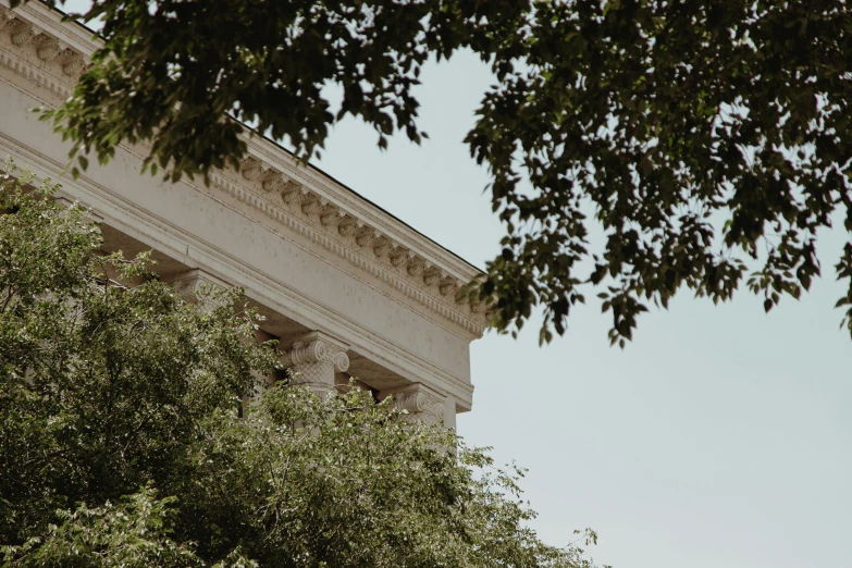 a clock that is on the side of a building, a marble sculpture, unsplash contest winner, neoclassicism, built into trees and stone, profile image, roof with vegetation, high details photo