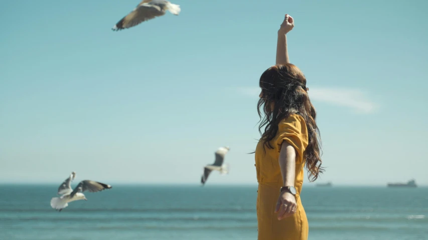 a woman in a yellow dress is flying a kite, pexels contest winner, seagulls, looking out at the ocean, hands raised in the air, 15081959 21121991 01012000 4k
