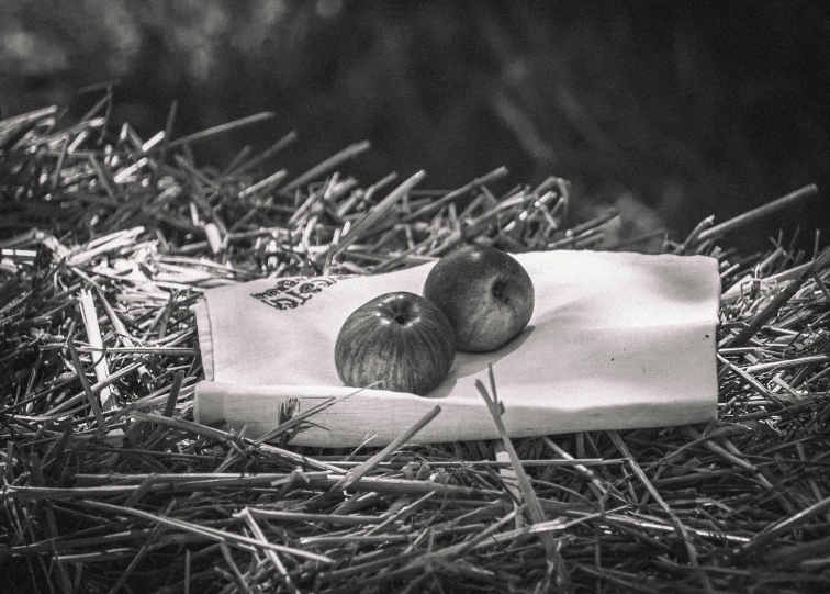 a couple of apples sitting on top of a pile of hay, a black and white photo, by Wojciech Gerson, unsplash, bags on ground, medieval photograph, on a wooden plate, 1987 photograph