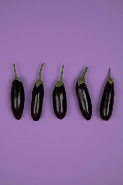 a row of eggplant on a purple background, an album cover, trending on pexels, highly upvoted, brunette, vanilla, pepper