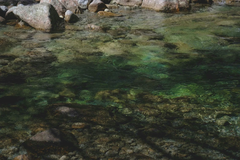 a body of water surrounded by rocks and trees, a photorealistic painting, inspired by Elsa Bleda, hyperrealism, green water, vhs colour photography, fishes swimming, alessio albi