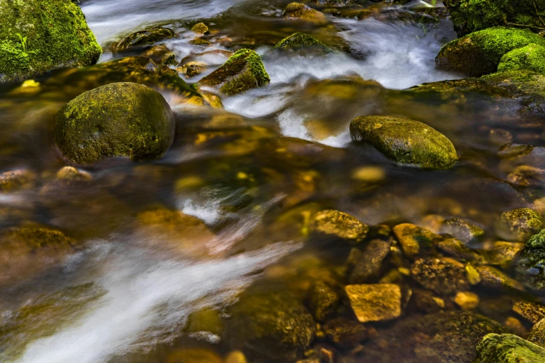 a stream running through a lush green forest, by Mirko Rački, pexels contest winner, floating rocks, closeup 4k, golden glow, brown