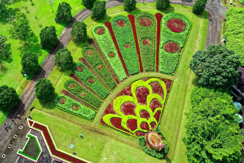 an aerial view of a flower garden in a park, inspired by James McIntosh Patrick, pexels contest winner, land art, 9 peacock tails, azores, green and red plants, bed of flowers on floor