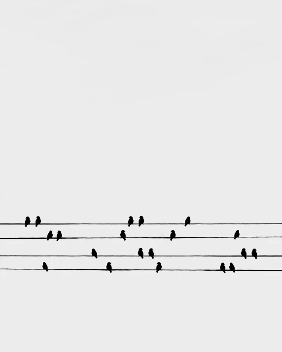 a flock of birds sitting on top of a power line, an album cover, by Lucia Peka, minimalism, monochrome:-2, saatchi art, orchestra, sittin