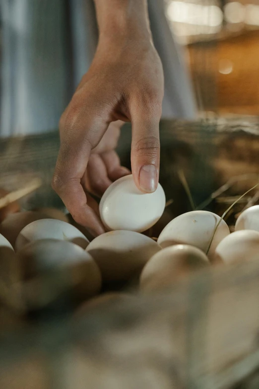 a person placing an egg into a bowl, by Jan Tengnagel, trending on pexels, renaissance, farms, australian, lights on, bakery
