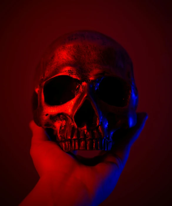 a person holding a skull in their hand, an album cover, by James Warhola, pexels, red and blue black light, 8 k. volumetric lighting. dark, halloween, red
