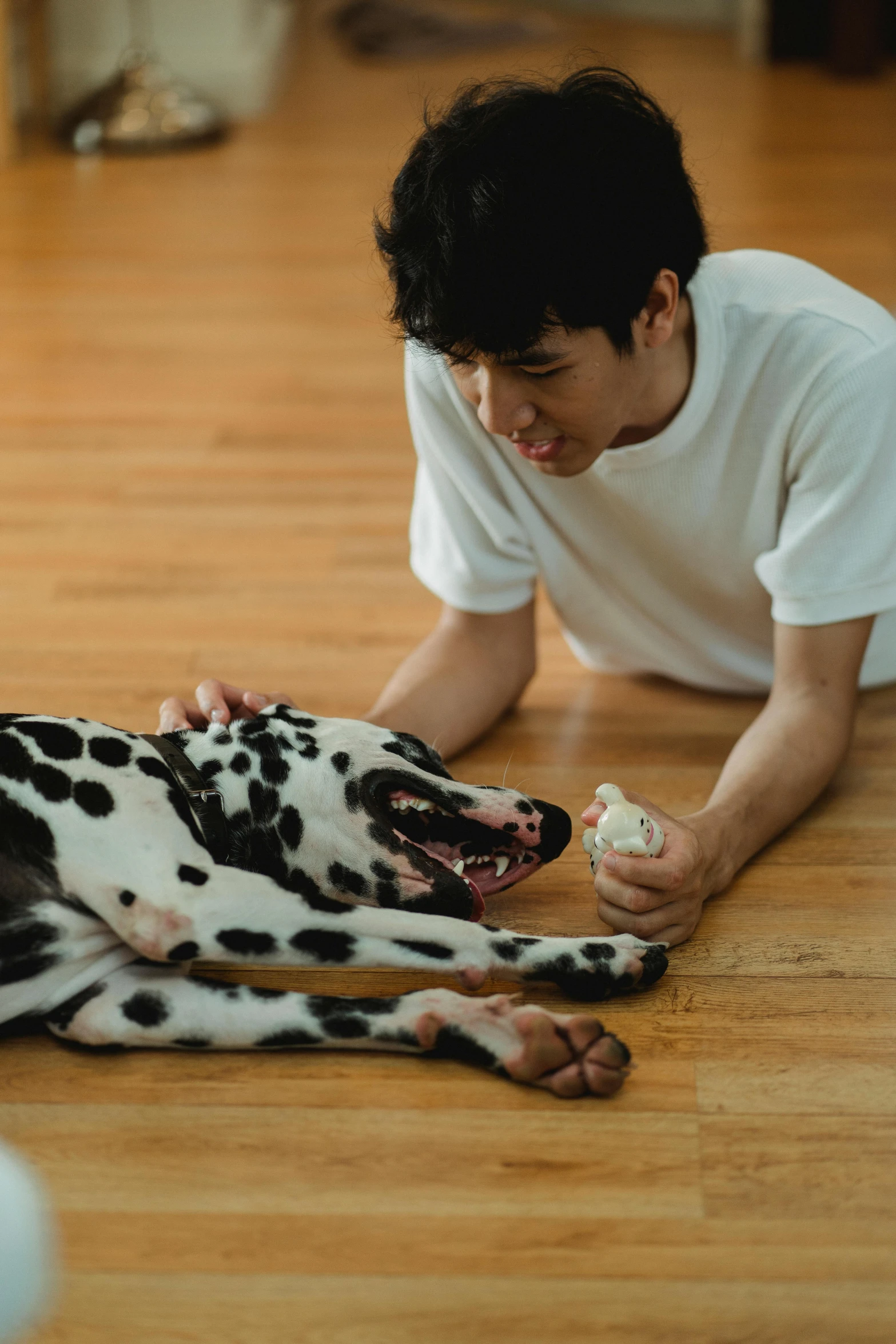 a man playing with a dog on the floor, pexels contest winner, hyperrealism, teen boy, white with black spots, bone, youtube thumbnail