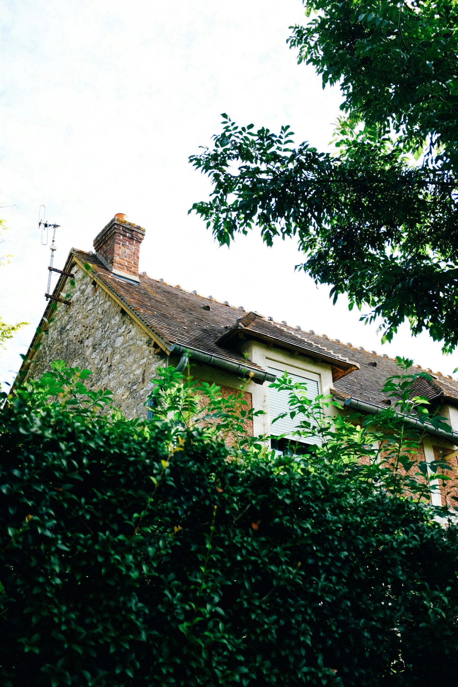 a house with a clock on the front of it, inspired by Louis Buvelot, unsplash, arts and crafts movement, roof with vegetation, normandy, overexposed photograph, seen from far away