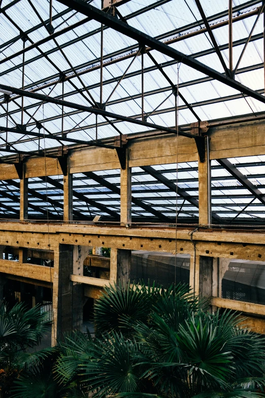 a train that is sitting inside of a building, skylights, archways made of lush greenery, post industrial, sunfaded